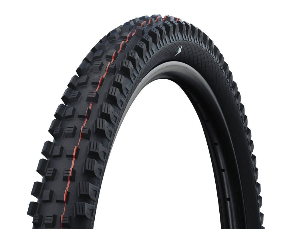 Schwalbe Magic Mary 29