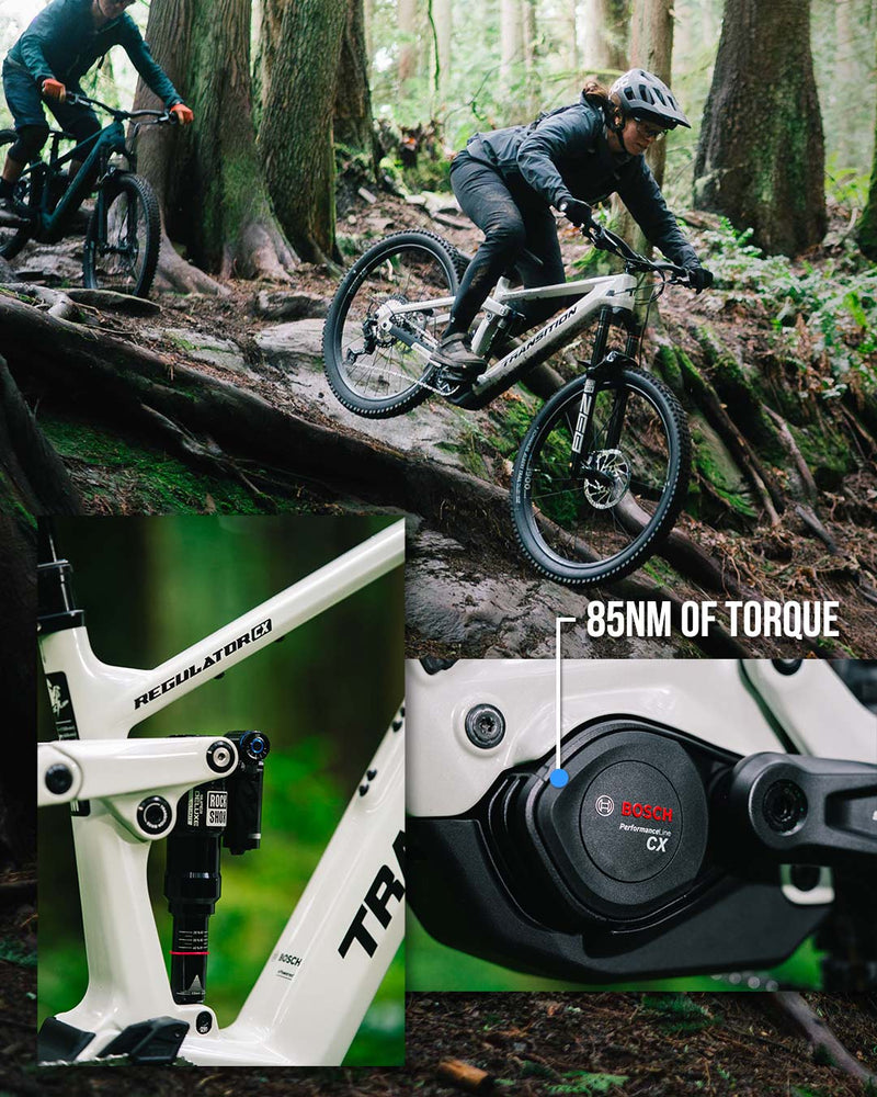 Load image into Gallery viewer, Transition Regulator CX XT