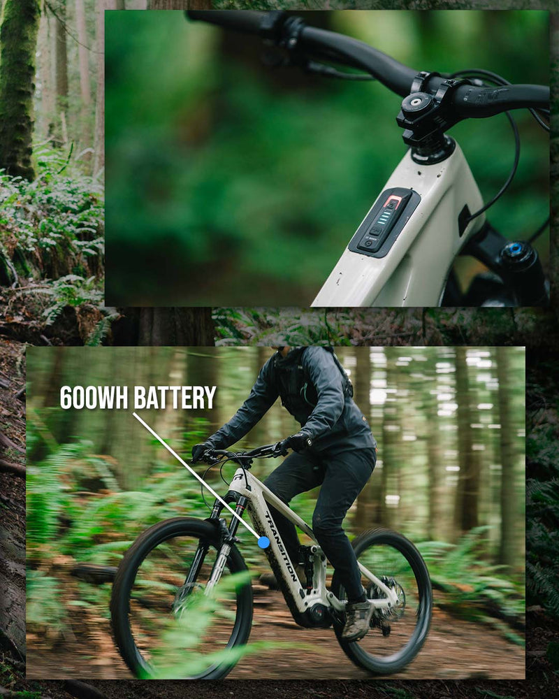 Load image into Gallery viewer, Transition Regulator CX XT