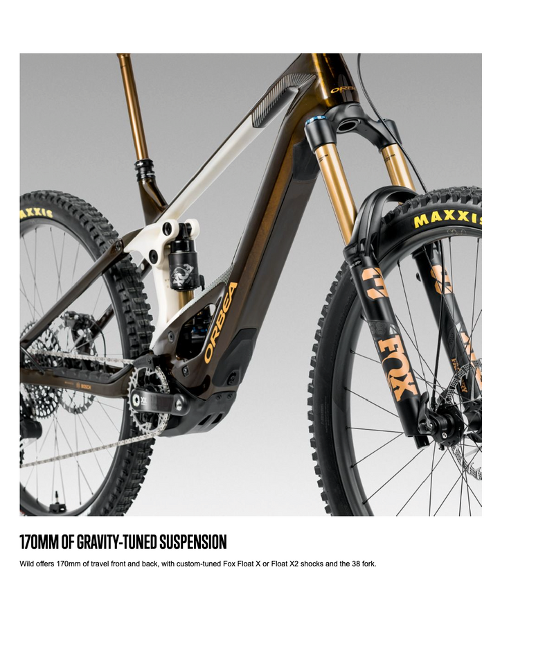Load image into Gallery viewer, Orbea WILD H10 20mph 750Wh 2025 29