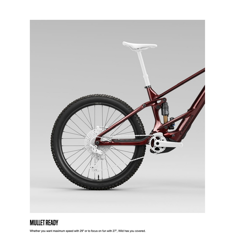 Load image into Gallery viewer, Orbea WILD H10 20mph 750Wh 2025 29