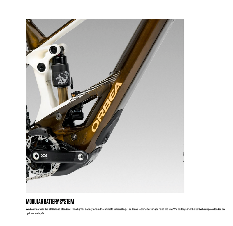 Load image into Gallery viewer, Orbea WILD H10 20mph 750Wh 2025 29
