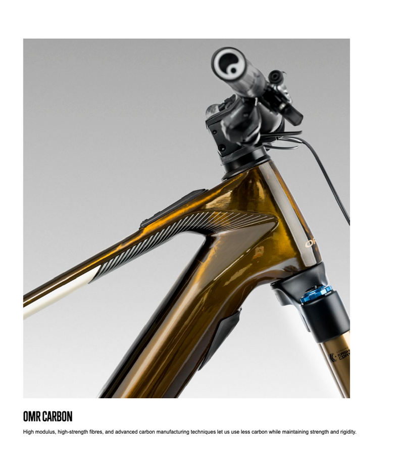 Load image into Gallery viewer, Orbea WILD H10 20mph 750Wh 2025 29