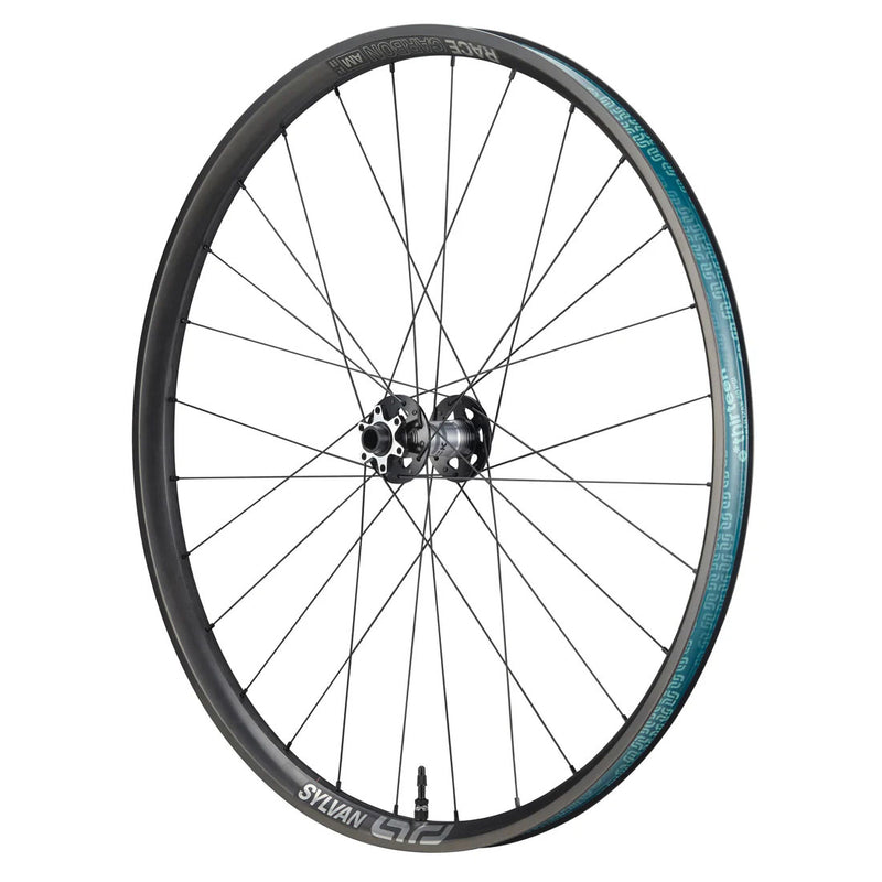 Load image into Gallery viewer, E*thirteen Sylvan Sidekick Race Carbon F Whl 29"15x110 Blk