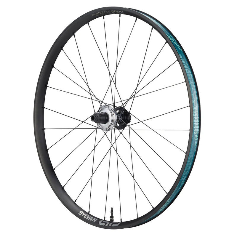 Load image into Gallery viewer, E*thirteen Sylvan Sidekick Race Alum R Wheel 29" 12x148 XD Blk