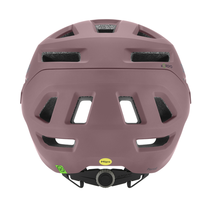 Load image into Gallery viewer, Smith Payroll MIPS Helmet