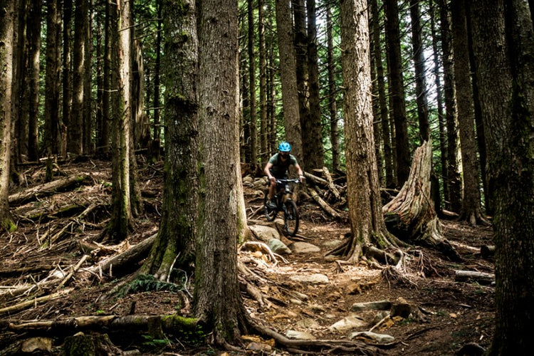 Looking To Hit The Trails Near Issaquah?