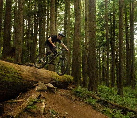 Noah Willson - Sales