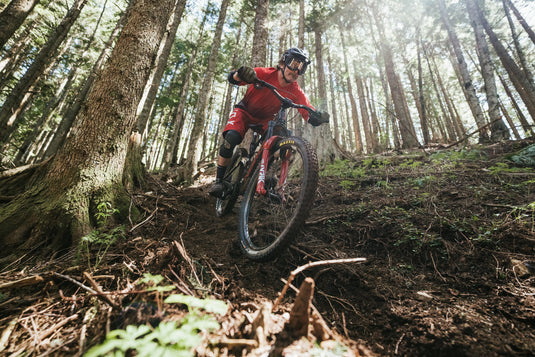 Christiaan Bourdrez - Owner