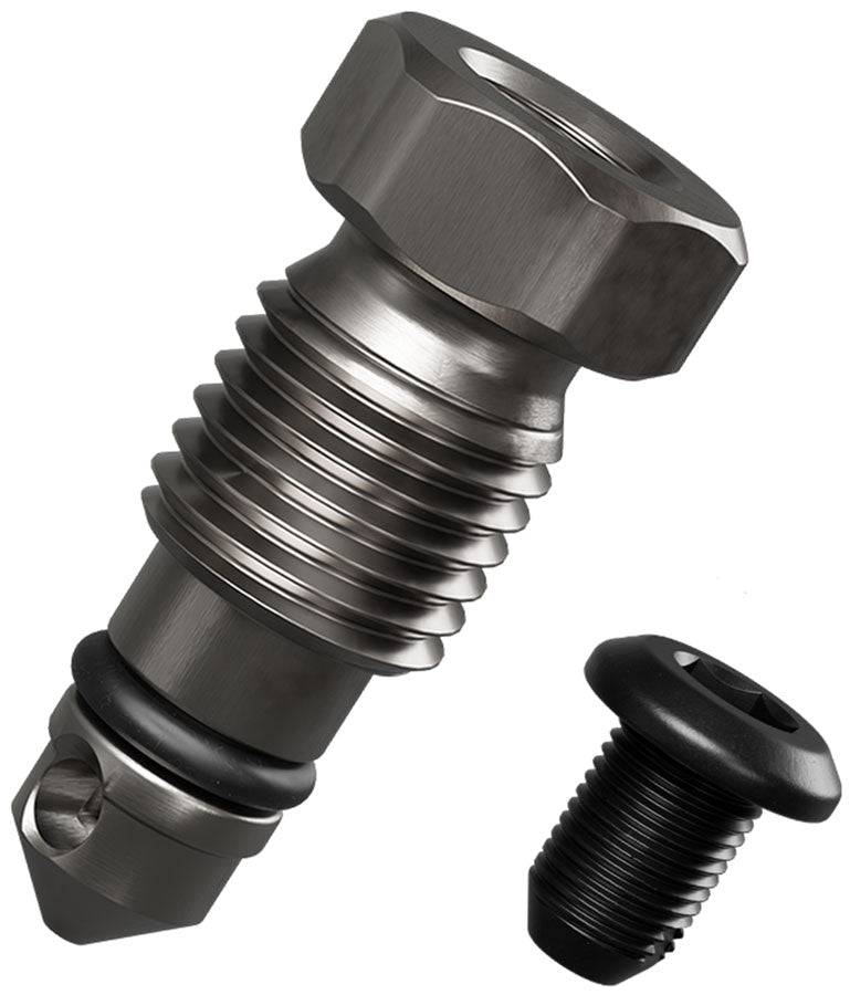 Load image into Gallery viewer, Magura Gustav Pro Brake Caliper Bleeder Valve - Includes Luer Plug
