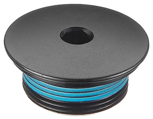 Samox SML eBike Crank Spindle Bolt - M20x1mm 8.5mm Long