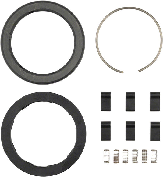 Zipp Spring and Pawl Set - ZR1