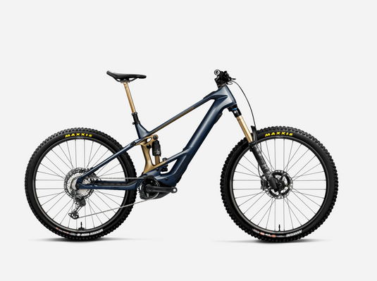 Orbea WILD M-Team 20mph Custom 2024