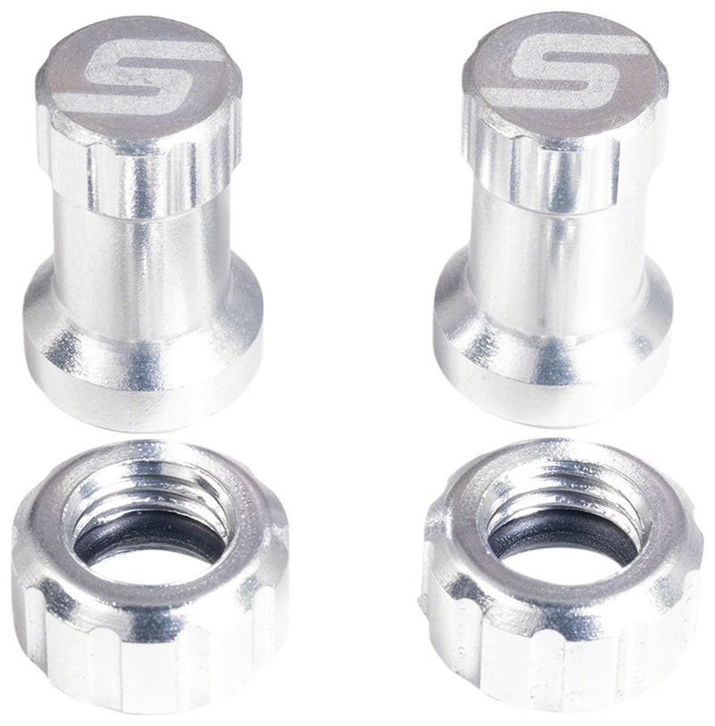 Load image into Gallery viewer, Stan's Tubeless Valve Stem Cap Color Kit - Silver Pair
