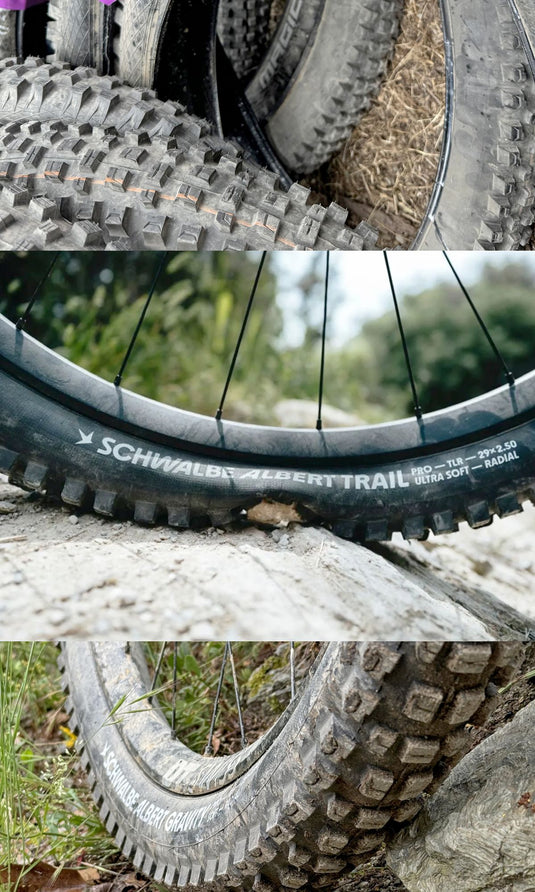 Schwalbe Radial Revolution