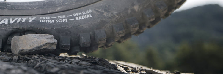 Schwalbe Radial Revolution