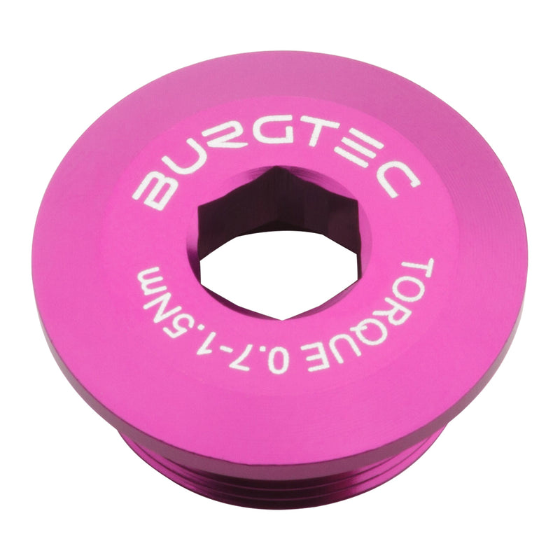 Load image into Gallery viewer, Burgtec Shimano Crank Bolt Purple Rain
