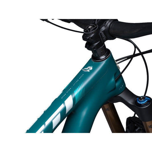 DYEDBRO Frame Protection Matte Clear Black Logo  