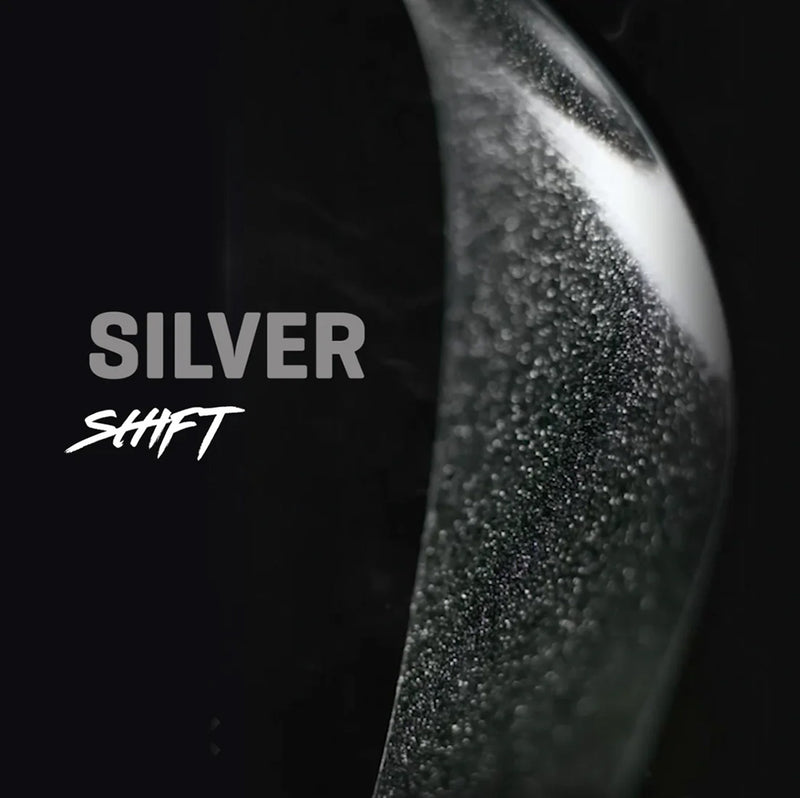 Load image into Gallery viewer, Ground Keeper Fork Keeper Silver Shift Gloss  
