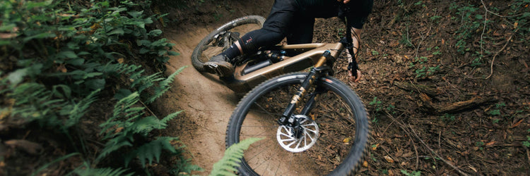 Ibis OSO HD