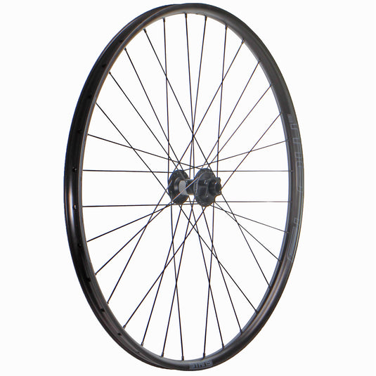 Wheel Factory Stan's Flow EX3 29" DT 370 15x110 IS
