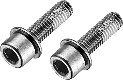 TRP Flat Mount Disc Brake Bolts - 17mm Stainless