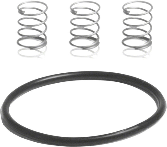 Industry Nine Torch Road Pawl Spring Kit: 3 Springs and 1 1x17mm O-Ring