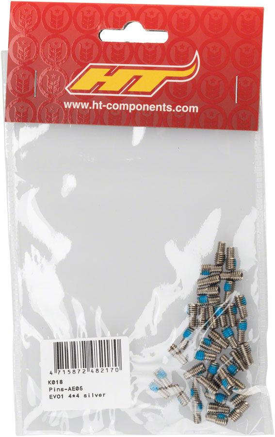 Load image into Gallery viewer, HT Components AE05 Pin Kit Silver
