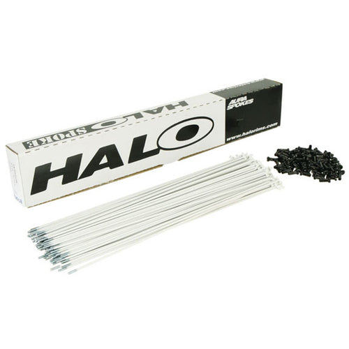 Halo Aura 14g Spoke White 258mm 100/Count